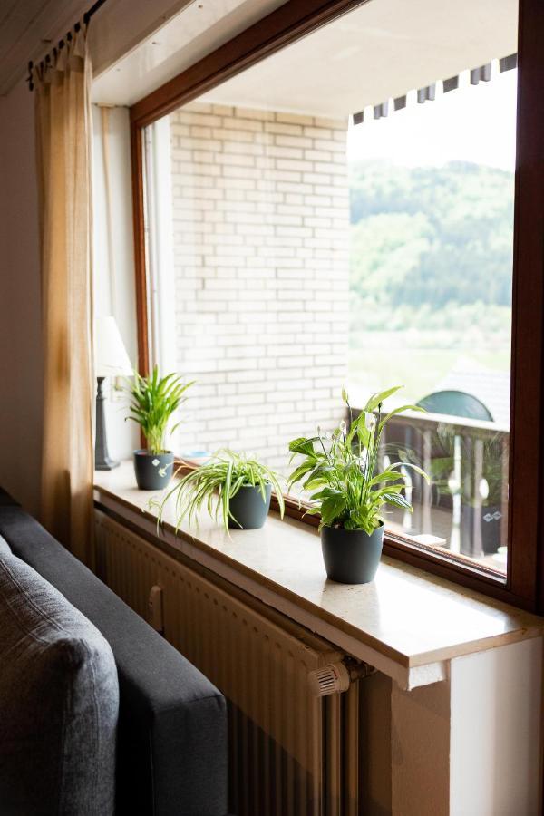 Ferienwohnung Mit Seeblick — Sport Und Erholung Winterberg Exterior foto